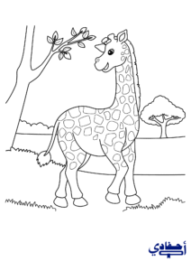 12 زرافة تلعب