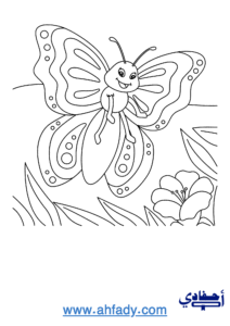 تلوين فراشة
