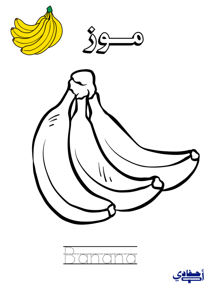 5 تعلم الفواكه للاطفال